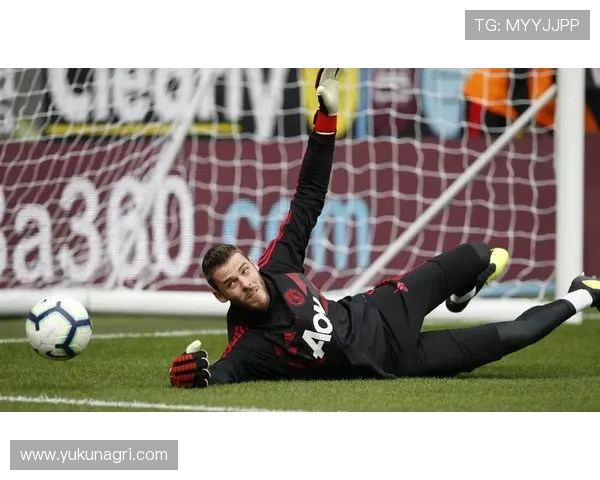 德赫亚多多首发佛帕对决